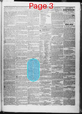 Page thumbnail for Pioneer And Democrat