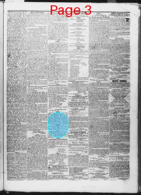 Page thumbnail for Pioneer And Democrat