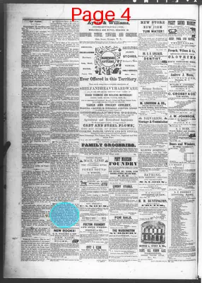 Page thumbnail for Pioneer And Democrat