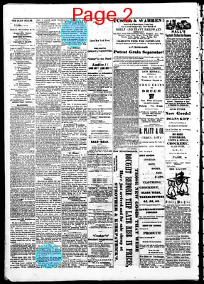 Page thumbnail for The Iowa Plain Dealer