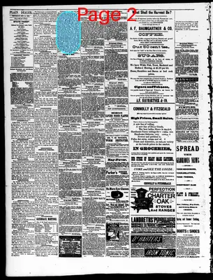 Page thumbnail for The Iowa Plain Dealer