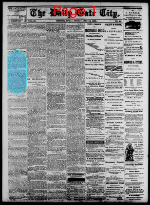 Page thumbnail for The Daily Gate City