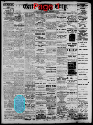Page thumbnail for The Daily Gate City