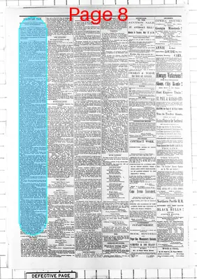 Page thumbnail for Daily Globe