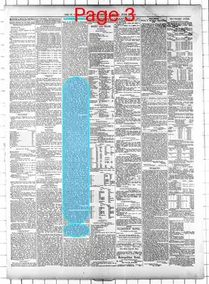 Page thumbnail for Daily Globe
