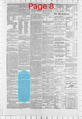 Page thumbnail for Daily Globe