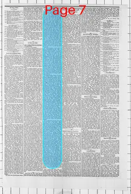 Page thumbnail for Daily Globe