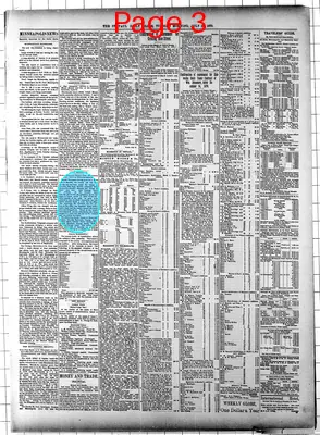 Page thumbnail for Daily Globe