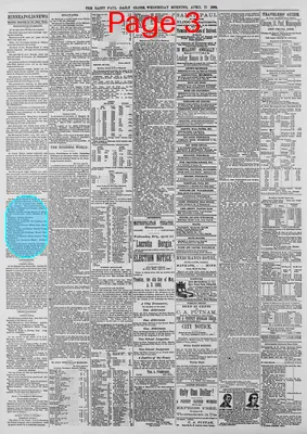 Page thumbnail for Daily Globe