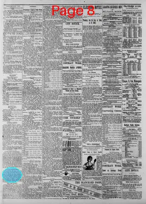 Page thumbnail for Daily Globe