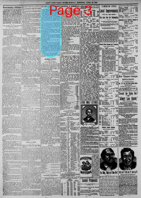 Page thumbnail for Daily Globe