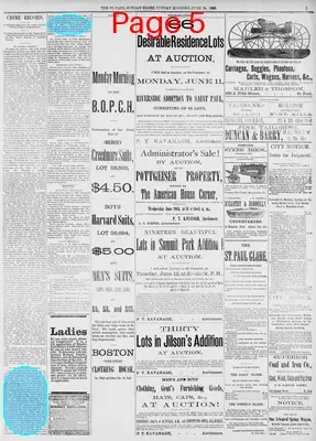 Page thumbnail for Daily Globe