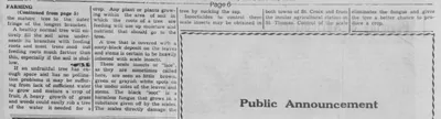 Clipping 2