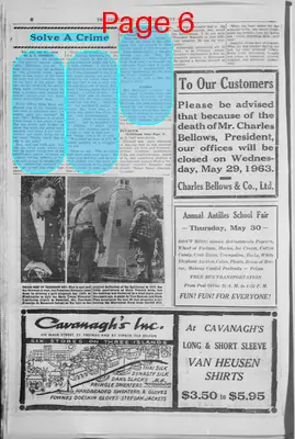 Page thumbnail for The Daily News Of The Virgin Islands