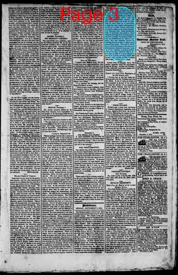 Page thumbnail for The Rhode Island American, And General Advertiser