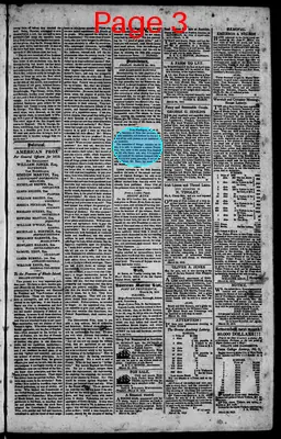 Page thumbnail for The Rhode Island American, And General Advertiser