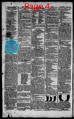 Page thumbnail for The Rhode Island American, And General Advertiser
