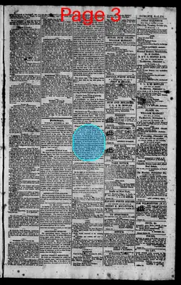 Page thumbnail for The Rhode Island American, And General Advertiser