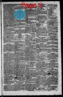 Page thumbnail for The Rhode Island American, And General Advertiser