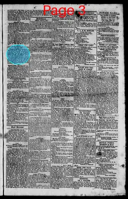 Page thumbnail for The Rhode Island American, And General Advertiser
