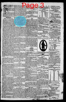 Page thumbnail for The Rhode Island American, And General Advertiser