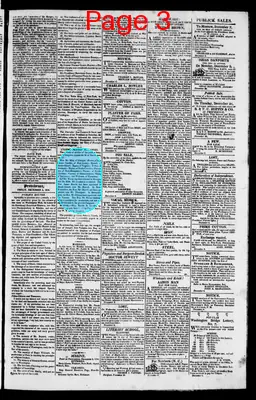 Page thumbnail for The Rhode Island American, And General Advertiser