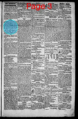 Page thumbnail for The Rhode Island American, And General Advertiser