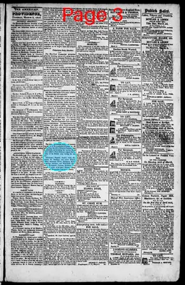 Page thumbnail for The Rhode Island American, And General Advertiser