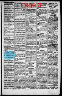 Page thumbnail for The Rhode Island American, And General Advertiser