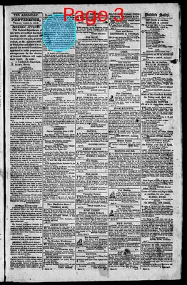 Page thumbnail for The Rhode Island American, And General Advertiser