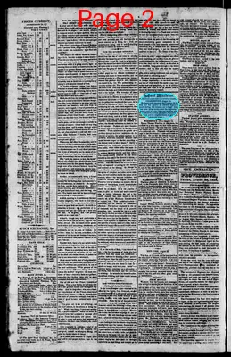 Page thumbnail for The Rhode Island American, And General Advertiser