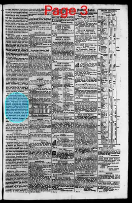 Page thumbnail for The Rhode Island American, And General Advertiser