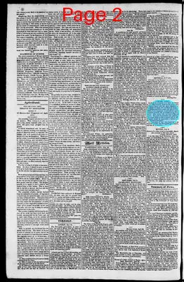 Page thumbnail for The Rhode Island American, And General Advertiser