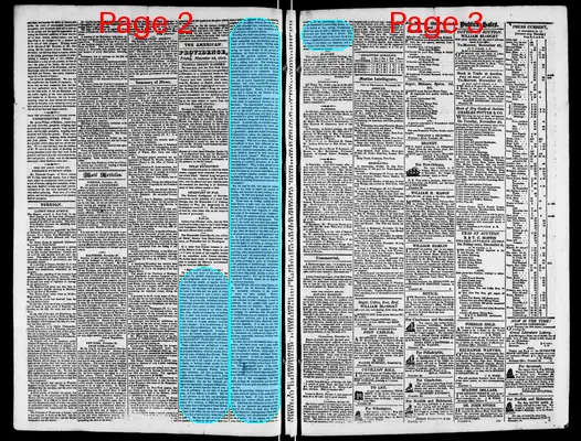 Page thumbnail for The Rhode Island American, And General Advertiser