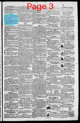 Page thumbnail for The Rhode Island American, And General Advertiser