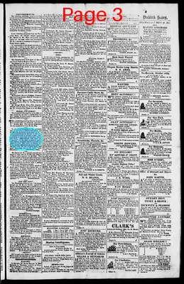 Page thumbnail for The Rhode Island American, And General Advertiser