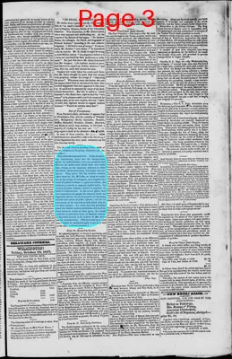 Page thumbnail for Delaware Journal