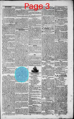 Page thumbnail for The Rhode Island Republican