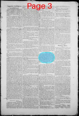 Page thumbnail for The New Hampshire Gazette