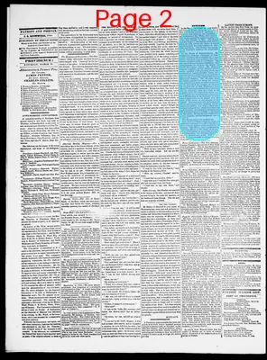 Page thumbnail for Providence Patriot, Columbian Phenix
