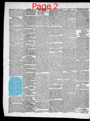 Page thumbnail for Providence Patriot, Columbian Phenix