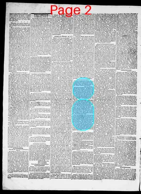 Page thumbnail for Providence Patriot, Columbian Phenix