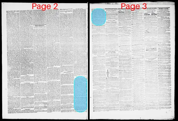 Page thumbnail for Providence Patriot, Columbian Phenix