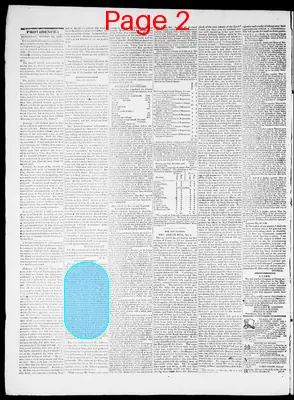 Page thumbnail for Providence Patriot, Columbian Phenix