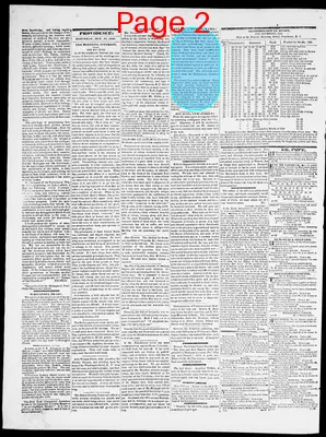 Page thumbnail for Providence Patriot, Columbian Phenix