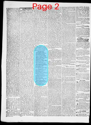 Page thumbnail for Providence Patriot, Columbian Phenix