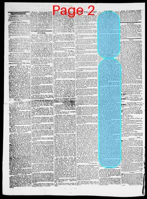 Page thumbnail for Providence Patriot, Columbian Phenix