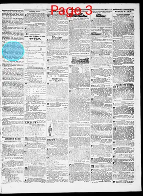 Page thumbnail for Providence Patriot, Columbian Phenix