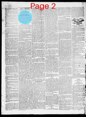 Page thumbnail for Providence Patriot, Columbian Phenix