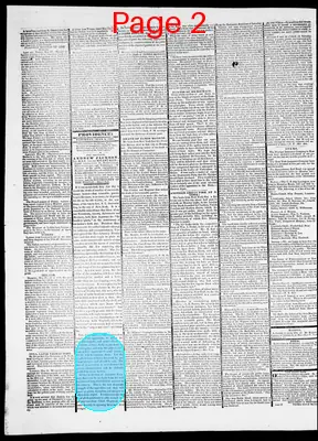 Page thumbnail for Providence Patriot, Columbian Phenix